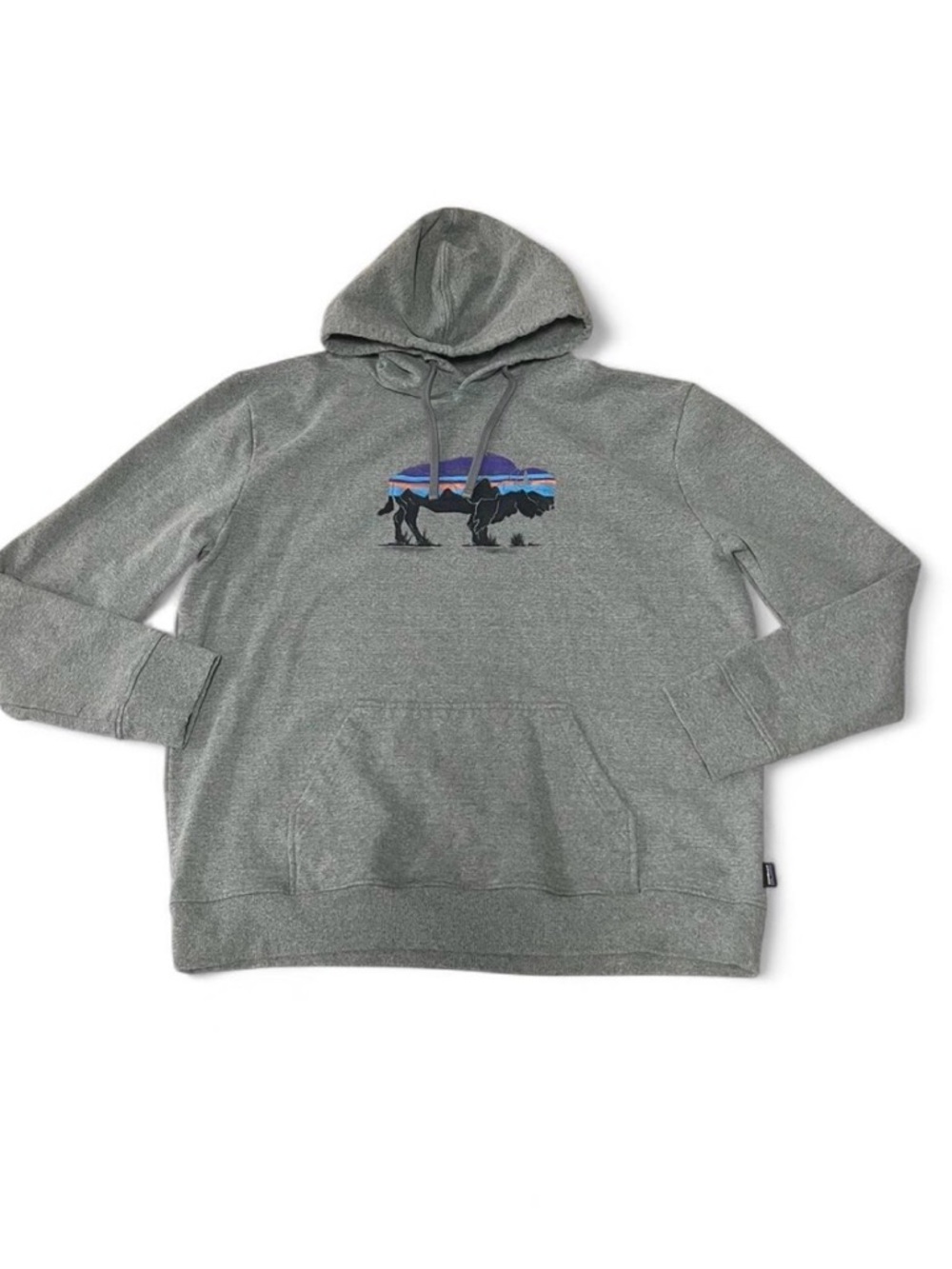 Patagonia Gray Pullover Hoodie with Mountain Graphic